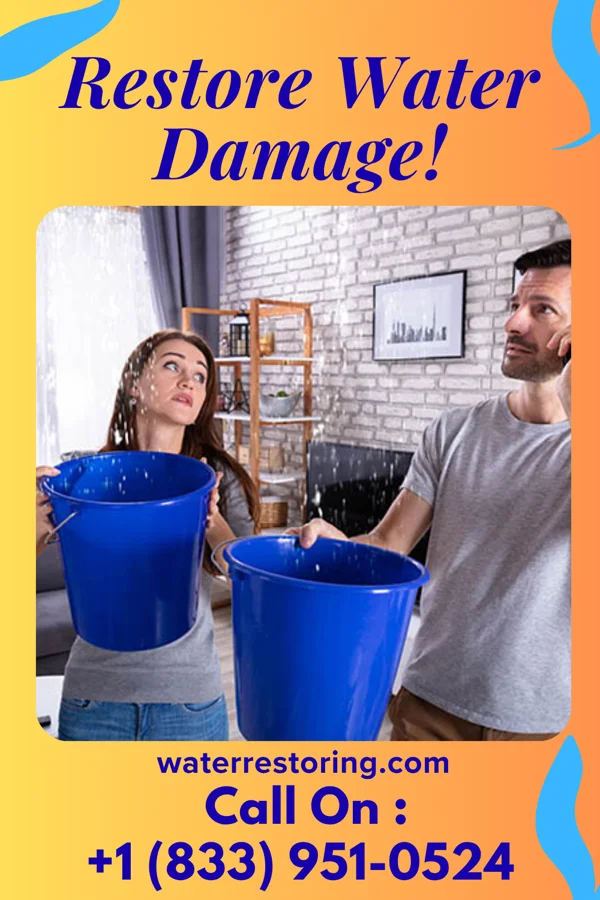 water restoration Ironclad Water Mitigation Pros New Wilmington