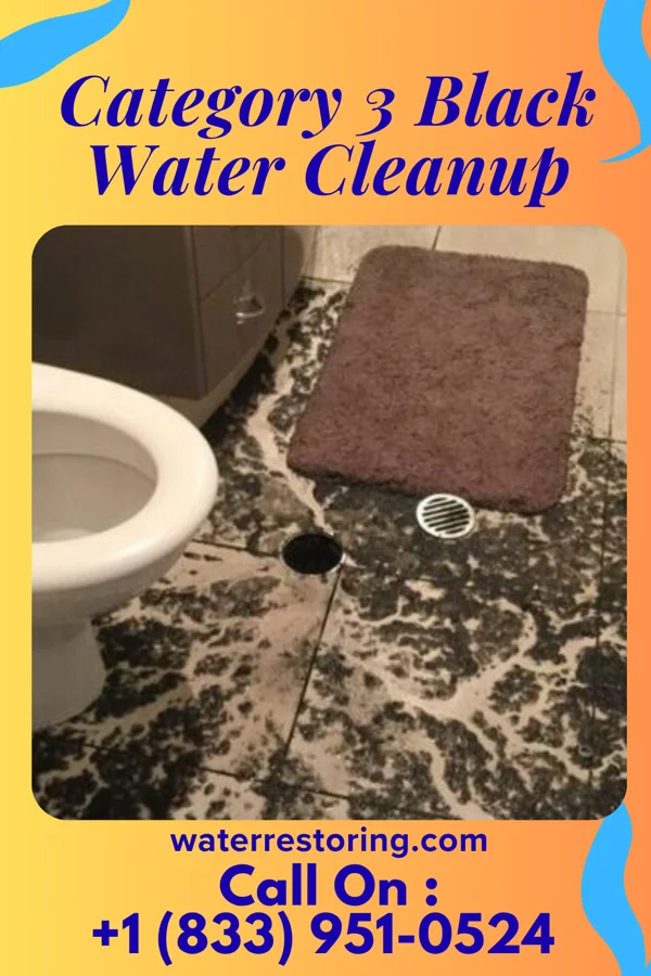 Category 3 Black Water Cleanup in New Wilmington, PA