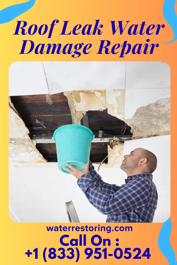 Roof Leak Water Damage Repair in New Wilmington, PA