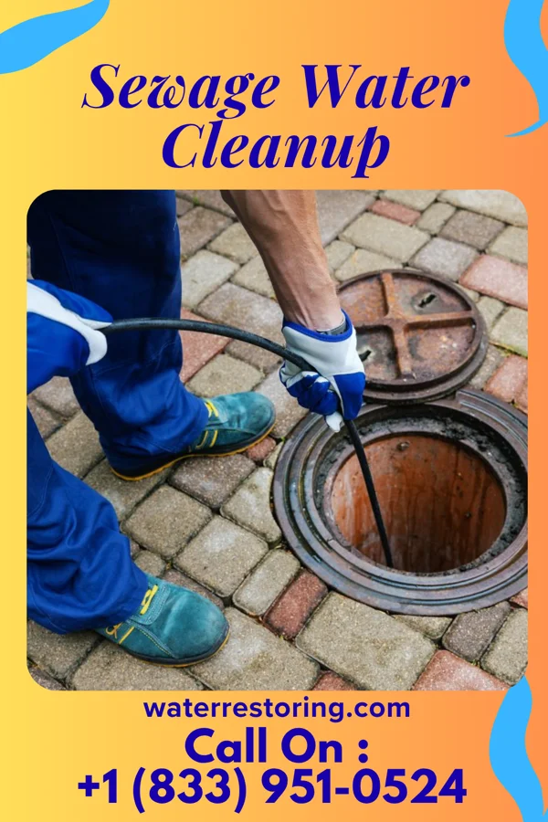 Sewage Water Cleanup in New Wilmington, PA